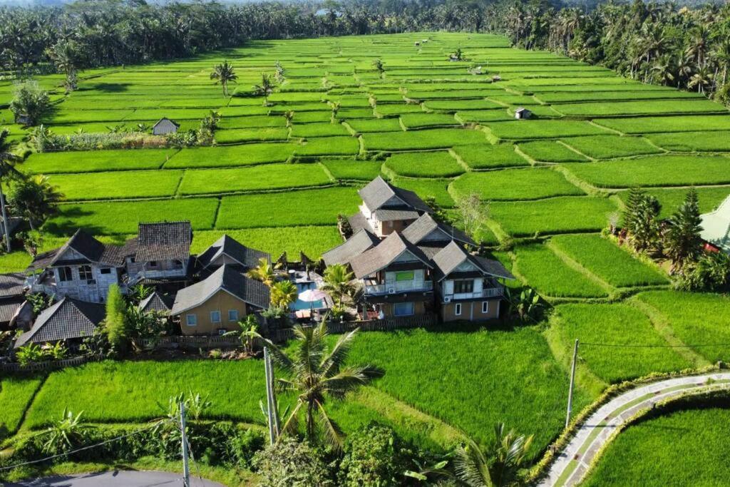 Ananda Jj Ubud Resort & Spa Εξωτερικό φωτογραφία